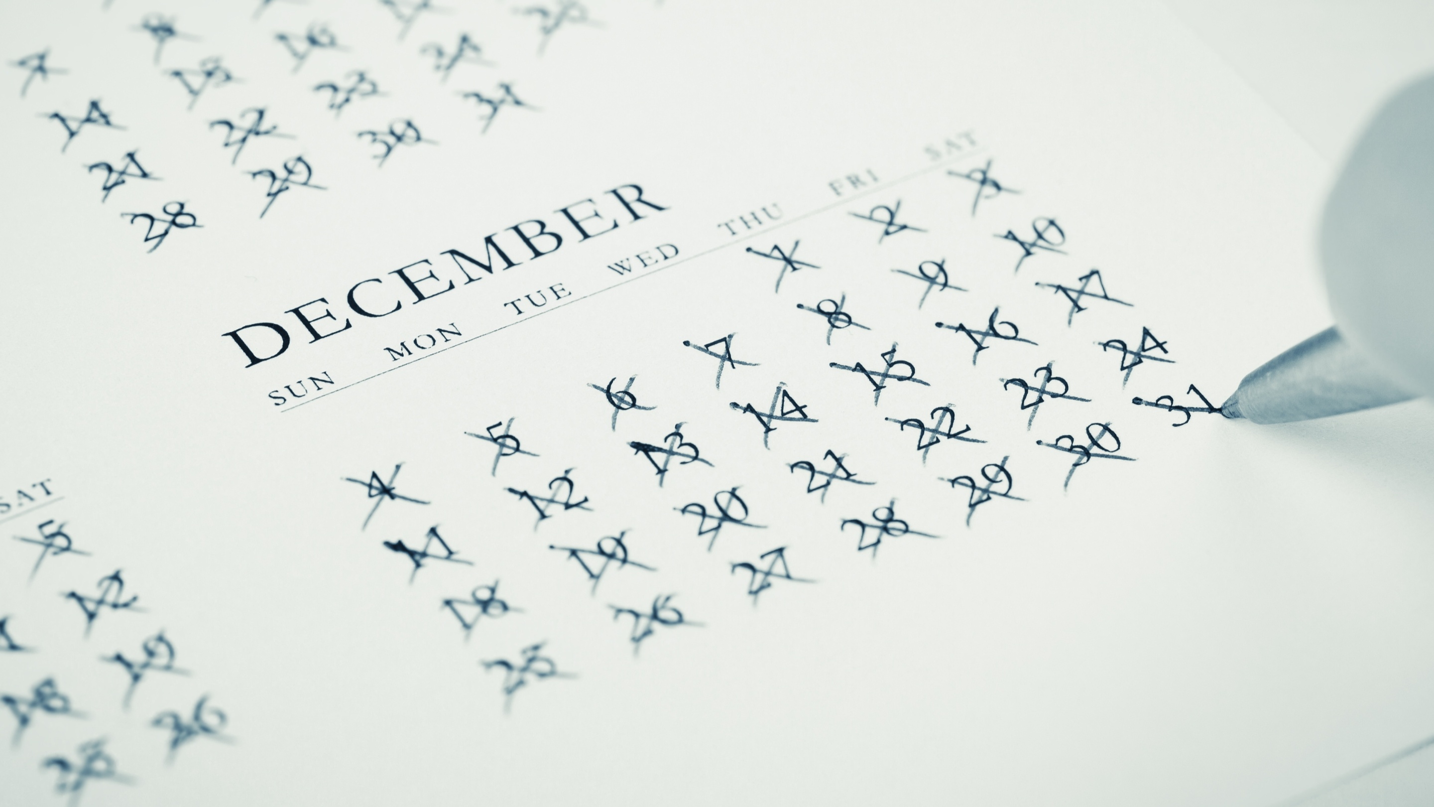 Your End-of-Year Environmental Safety Checklist